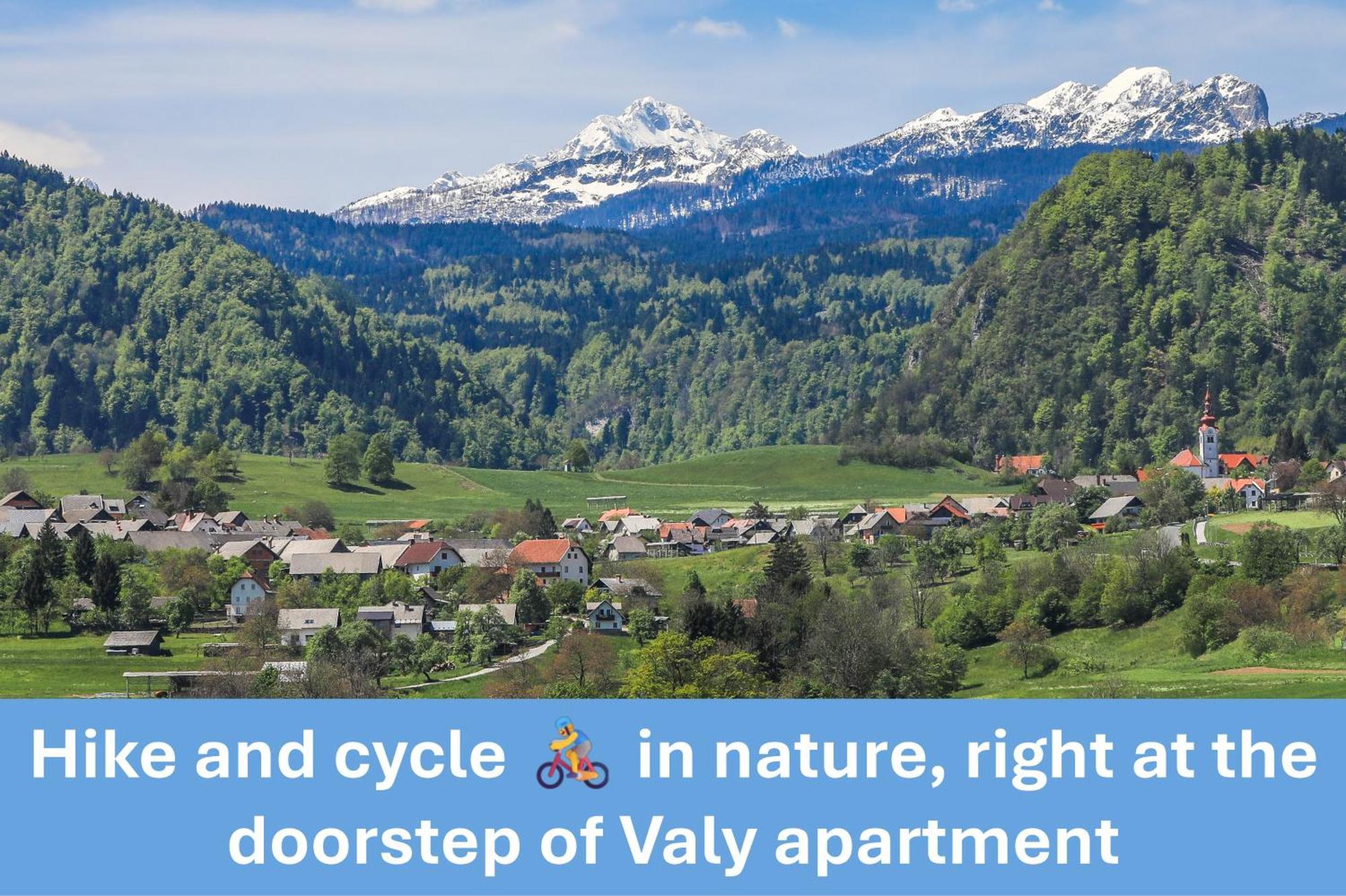Apartment Valy - Free Bikes, Relaxing Terrace & Near بليد المظهر الخارجي الصورة